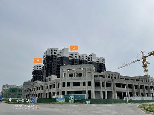 创作灵感第5人格最新爆料,暗影交错,揭秘神秘角色背后的惊悚故事 第2张 创作灵感第5人格最新爆料,暗影交错,揭秘神秘角色背后的惊悚故事 第2张