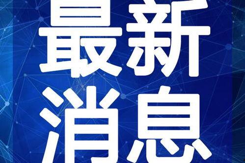 最新回响爆料新闻报道视频