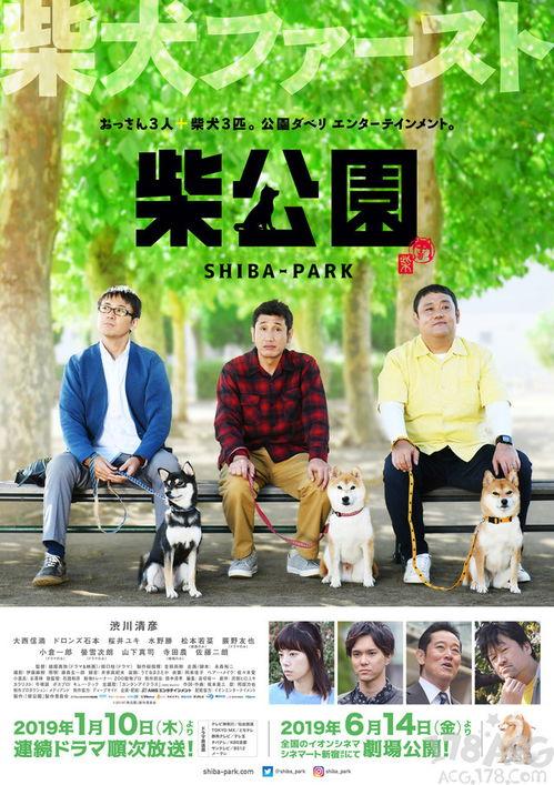 柴公园在线观看,在线观看，探索自然之美