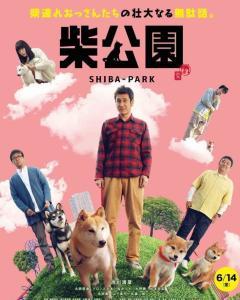 柴公园在线观看,在线观看,探索自然之美 第2张 柴公园在线观看,在线观看,探索自然之美 第2张