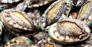 鲍鱼最新爆料视频大全,揭秘娱乐圈幕后真相 第2张 鲍鱼最新爆料视频大全,揭秘娱乐圈幕后真相 第2张