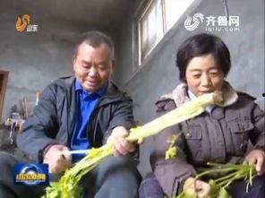 李群最新爆料新闻事件,揭秘最新惊天新闻事件内幕  第2张