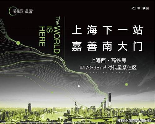 狗仔如何爆料狗粮视频讲解,狗粮视频爆料全解析  第2张