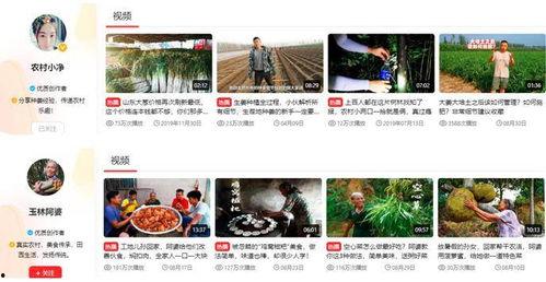 三农爆料的视频,揭秘农村发展新动态 第2张 三农爆料的视频,揭秘农村发展新动态 第2张