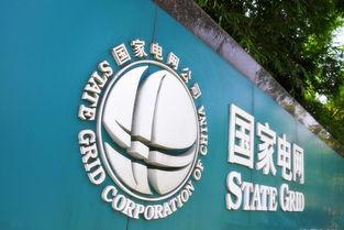 国家电投爆料新闻网官网,揭秘能源行业最新动态与热点事件