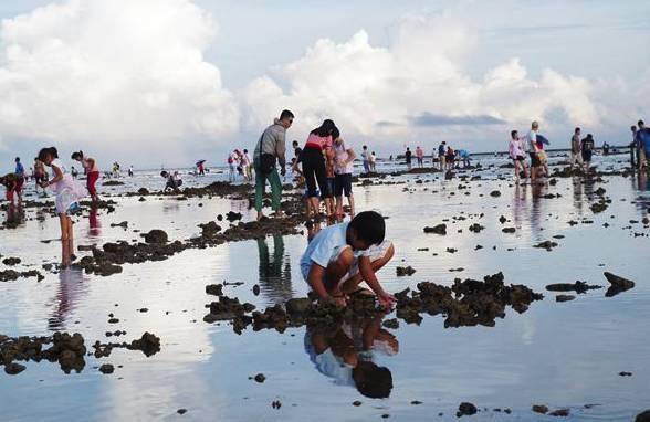 海南赶海爆料视频下载免费,揭秘渔民捕捞瞬间，免费视频带你领略海洋魅力  第3张