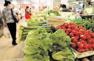 石家庄种蔬菜被爆料视频,揭秘田间真实景象  第2张