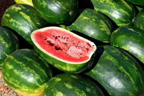美食娱乐吃瓜视频下载,下载攻略与热门推荐