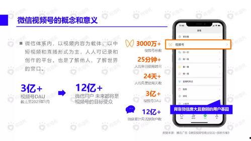 潮汕小豆苗爆料视频下载,带你领略潮汕风情与文化