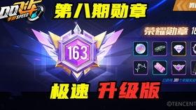 飞车荣耀勋章最新爆料,全新爆料揭秘神秘勋章背后的传奇故事  第3张