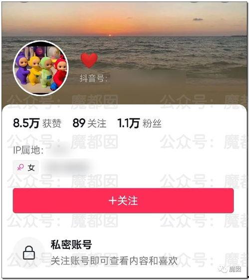 千万女网红吃瓜网站大全,吃瓜网站大全大揭秘  第3张