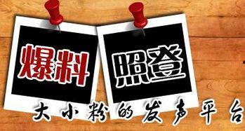 重庆市区新闻爆料,XX路段发生严重交通事故，多车受损，人员伤亡情况正在核实  第3张