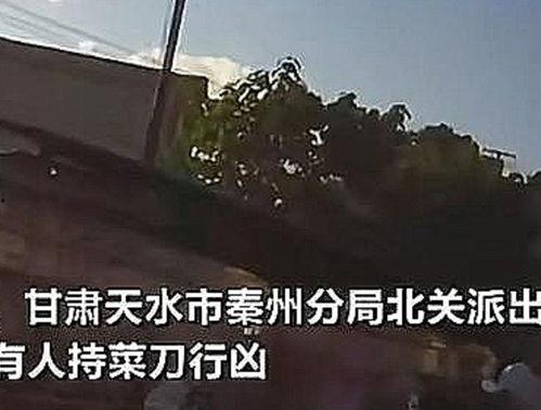 甘肃爆料天水事件视频,真相与争议交织