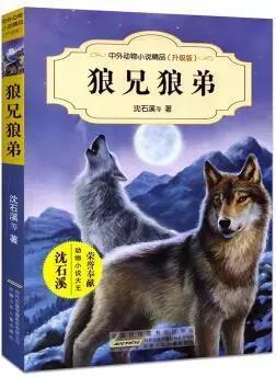 狼兄在线观看,揭秘神秘狼族世界的奇幻冒险之旅  第1张