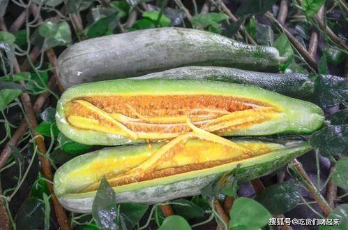 网红吃张露文的瓜,张露文瓜料大公开,真相令人震惊! 第1张 网红吃张露文的瓜,张露文瓜料大公开,真相令人震惊! 第1张