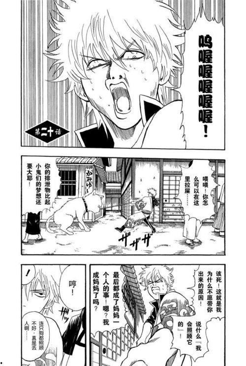 银魂爱奇艺在线观看,爱奇艺独家上线,重温经典动漫盛宴 第3张 银魂爱奇艺在线观看,爱奇艺独家上线,重温经典动漫盛宴 第3张