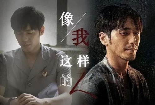 娱乐圈间谍爆料事件真相,揭秘幕后真相与利益纠葛