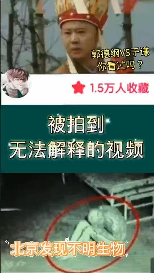 奇闻爆料解说视频大全,视频大全中的神秘世界