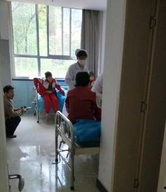 平凉四中最新爆料事件,校园事件引发社会关注 第3张 平凉四中最新爆料事件,校园事件引发社会关注 第3张