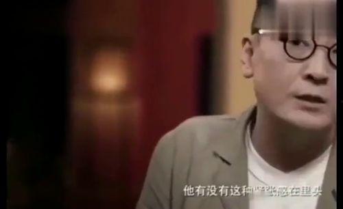 陈道明绯闻爆料视频播放,真相与舆论的漩涡