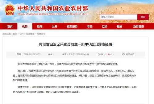 今日内蒙古爆料消息新闻,揭秘神秘事件背后的真相  第3张