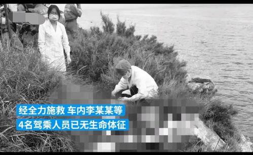 黑土早期爆料视频播放大全,揭秘娱乐圈幕后真相  第3张