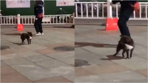 郑州爆料视频完整版,揭秘事件真相与背后故事 第2张 郑州爆料视频完整版,揭秘事件真相与背后故事 第2张