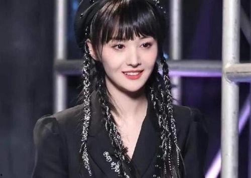 央视爆料郑爽事件视频,央视深度揭秘，真相与争议交织