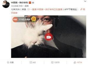 天涯爆料事件视频完整版,揭秘视频完整版背后的惊人真相  第2张