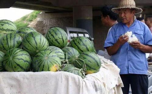 揭阳网红吃瓜事件,网络舆论的风暴与真相探寻 第3张 揭阳网红吃瓜事件,网络舆论的风暴与真相探寻 第3张