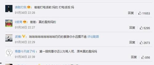 神级吃瓜群众txt免费下载,免费下载背后的秘密与精彩内容