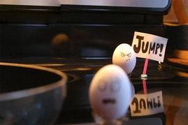 鸡蛋爆料搞笑视频 第2张 鸡蛋爆料搞笑视频 第2张