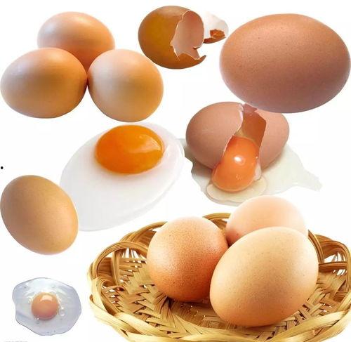 蛋仔怎么免费得吃瓜动作,蛋仔免费吃瓜动作大揭秘! 第2张 蛋仔怎么免费得吃瓜动作,蛋仔免费吃瓜动作大揭秘! 第2张