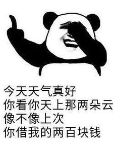 潍坊爆料男子被抓视频,警方严打行动显成效 第3张 潍坊爆料男子被抓视频,警方严打行动显成效 第3张