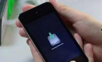 男子爆料手机视频大全,揭秘社会现象背后的真相 第3张 男子爆料手机视频大全,揭秘社会现象背后的真相 第3张