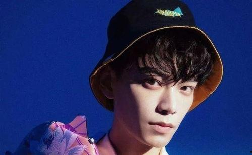 圈内八卦爆料丁禹兮,揭秘娱乐圈新晋小生的神秘面纱  第2张