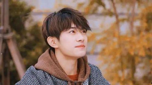 圈内八卦爆料丁禹兮,揭秘娱乐圈新晋小生的神秘面纱  第3张