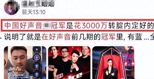 好声音爆料视频大全最新,揭秘选手幕后故事与精彩瞬间 第3张 好声音爆料视频大全最新,揭秘选手幕后故事与精彩瞬间 第3张